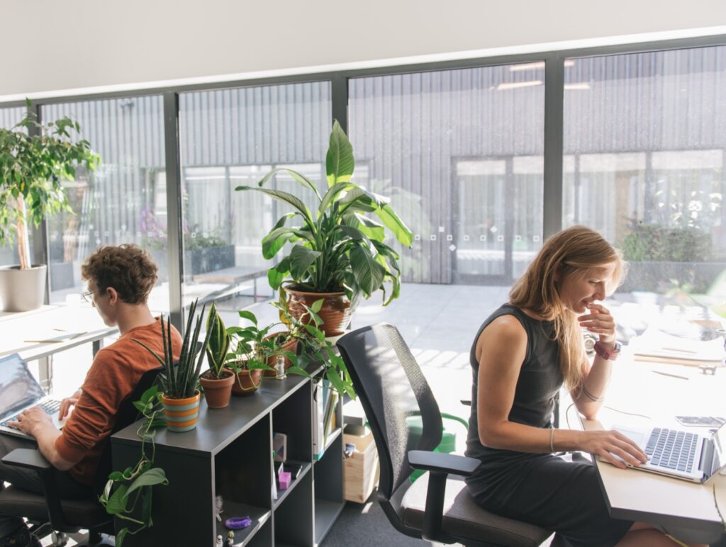 Tailored solutions that meet your business needs